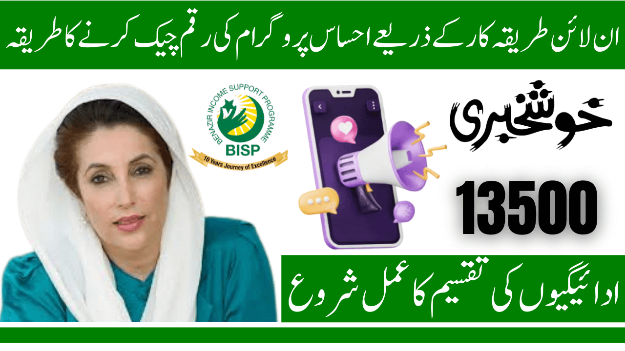 Check Ehsaas Program Payment Status Online with CNIC Through 8171