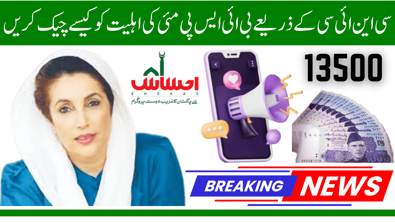 How to Check BISP May Payment 2025 Eligibility Online Through CNIC 
