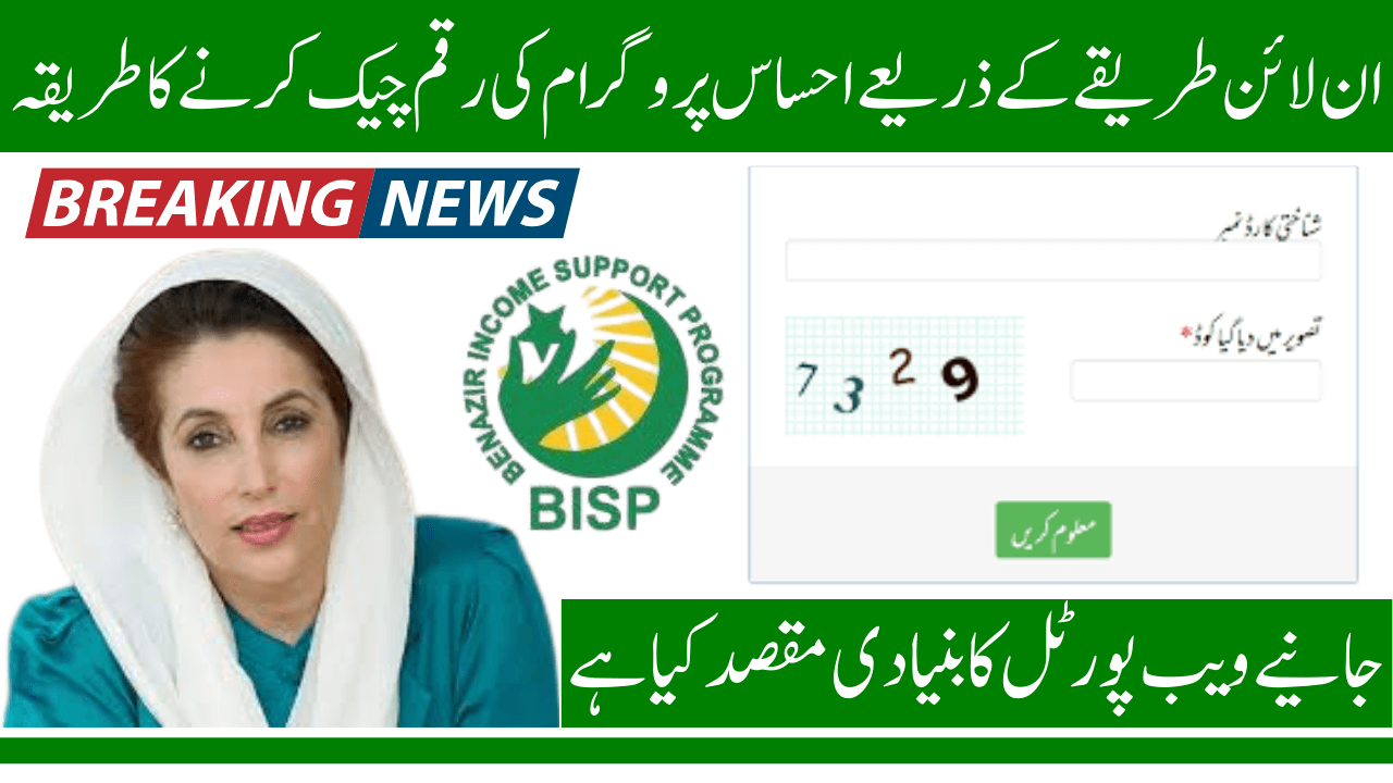 8171 Ehsaas Program 2025 Online CNIC Check for 13500 Payment Status