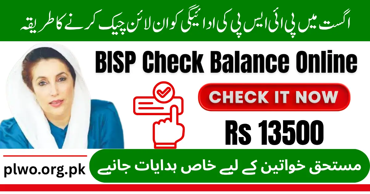 BISP Check Balance Online By CNIC August 2025 