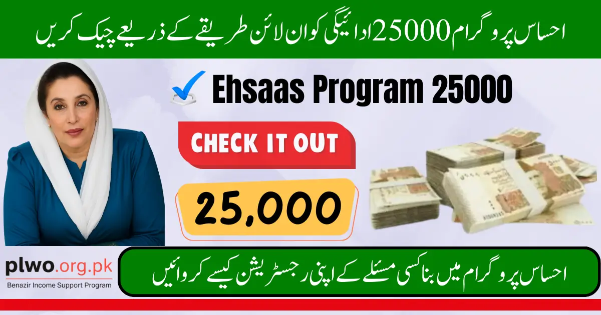 8171 Ehsaas Program 25000 CNIC Check Online 2025 – Confirm Eligibility